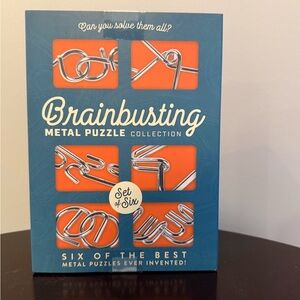 Brainbusting Metal Puzzle Collection